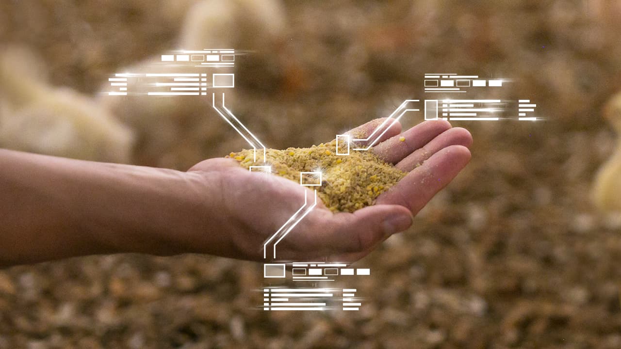 A importância da avaliação do processo de qualidade de mistura nas Fábricas de Rações