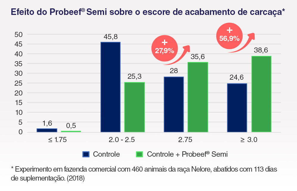 Probeef® Semi - grafico