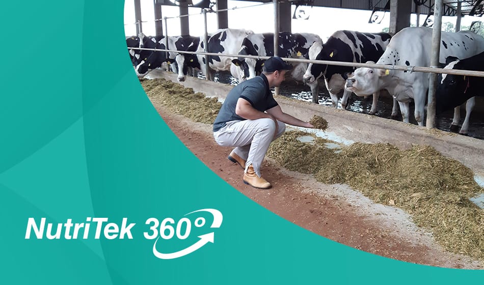 NutriTek 360º: Agropecuária Fockink