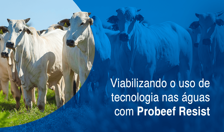 Viabilizando o uso de tecnologia nas águas com Probeef Resist