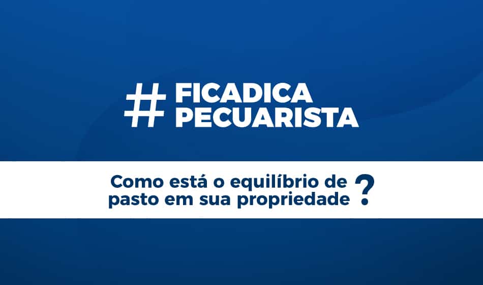 Como está o Equilíbrio de Pasto em sua Propriedade? #ficadicapecuarista