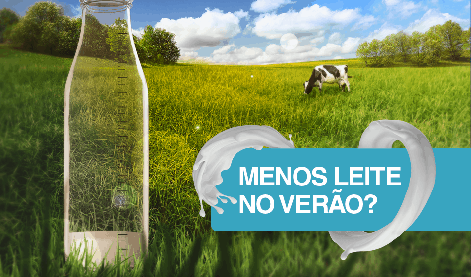 Queda de fertilidade durante o verão em vacas de leite: o efeito da produção de leite!