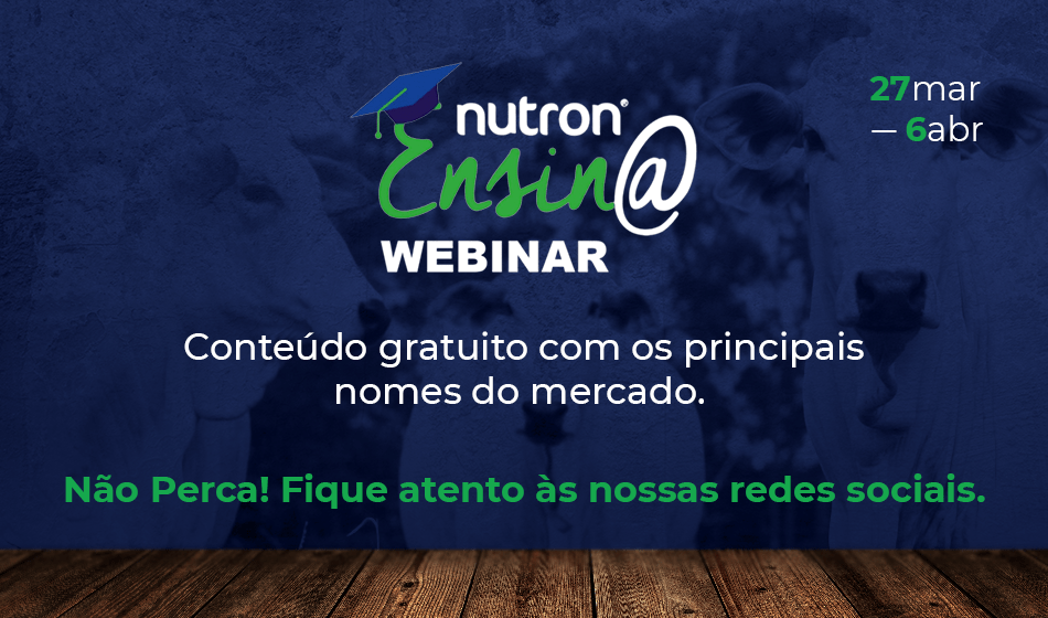 Webinar Nutron Ensina: não é preciso estar junto para ser presente