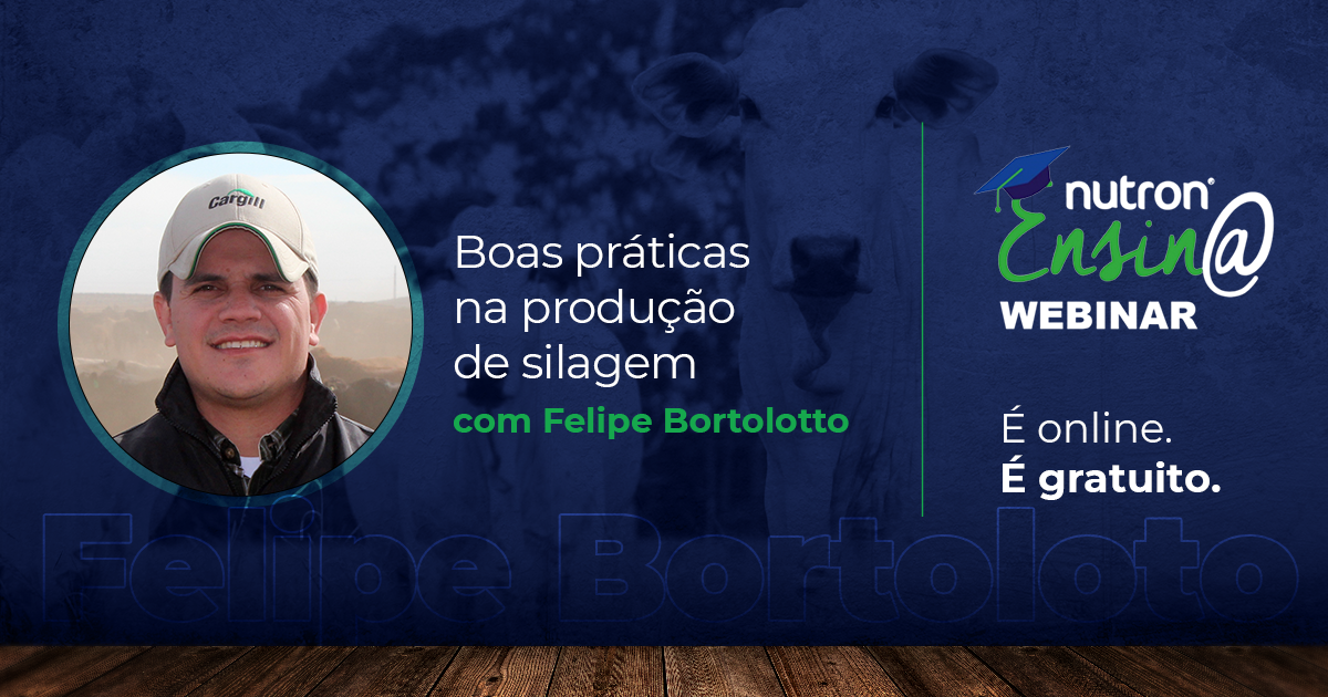 Webinar Felipe Bortolotto | Boas práticas na produção de silagem