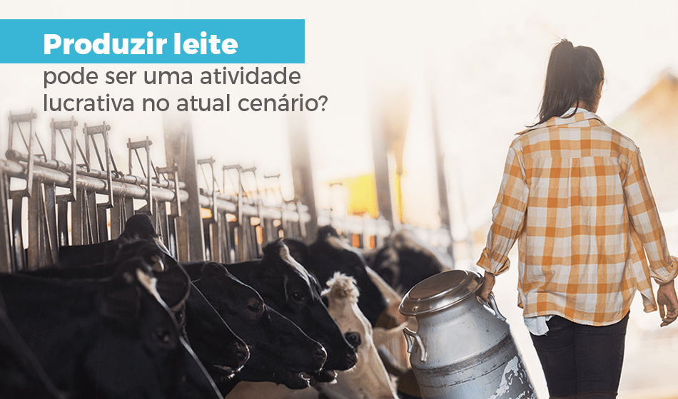 Produzir Leite pode ser uma atividade lucrativa no atual cenário?