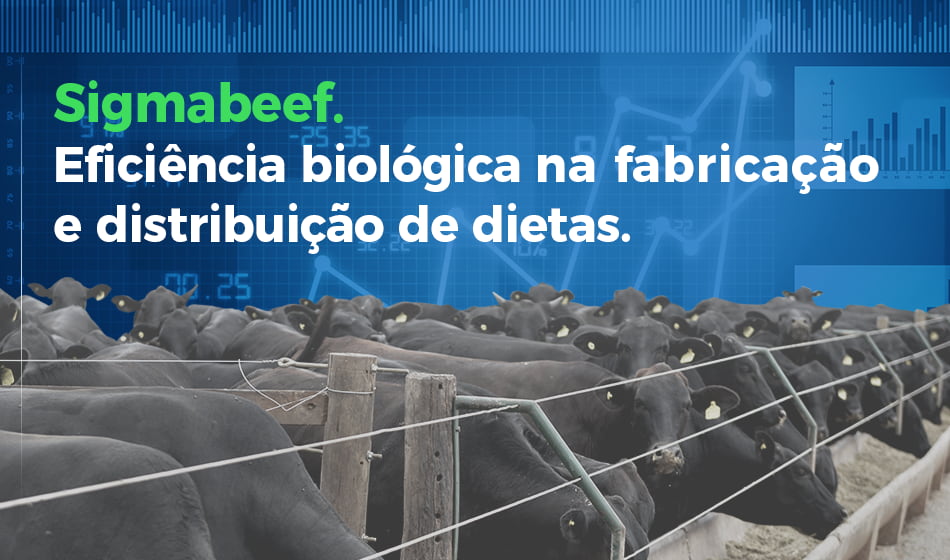 SigmaBeef: Excelência em Gestão de Fabricação e Distribuição de Dietas no Confinamento