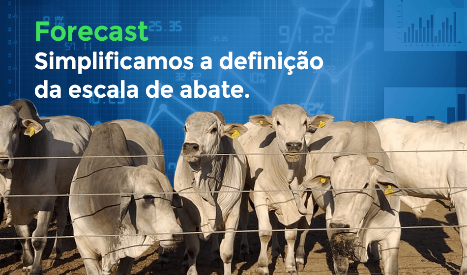 Simplifique a definição de escala de abate