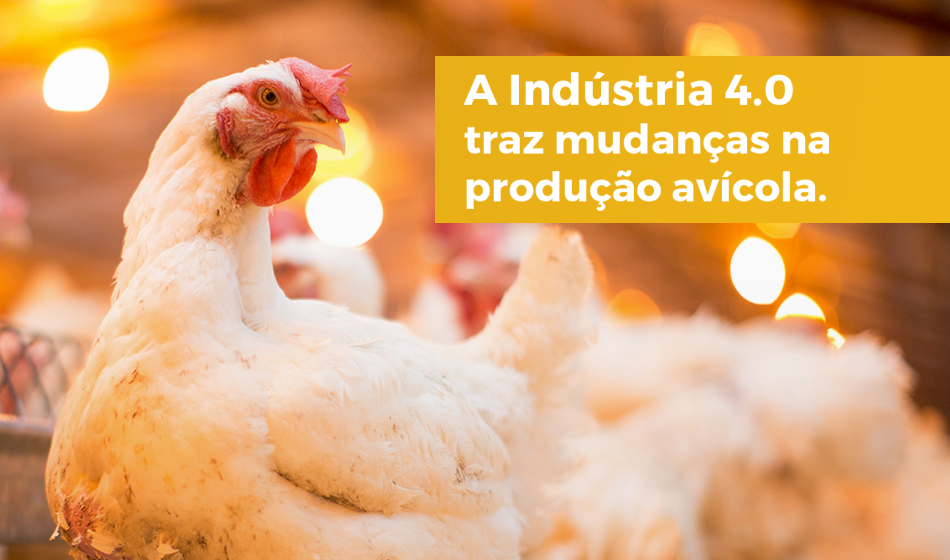 A Indústria 4.0 e as mudanças na produção avícola