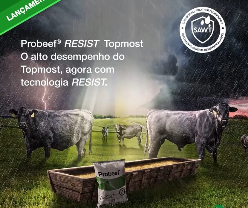 Probeef® Resist é uma linha de suplementação mineral da Nutron | Cargill ideal para o período de águas